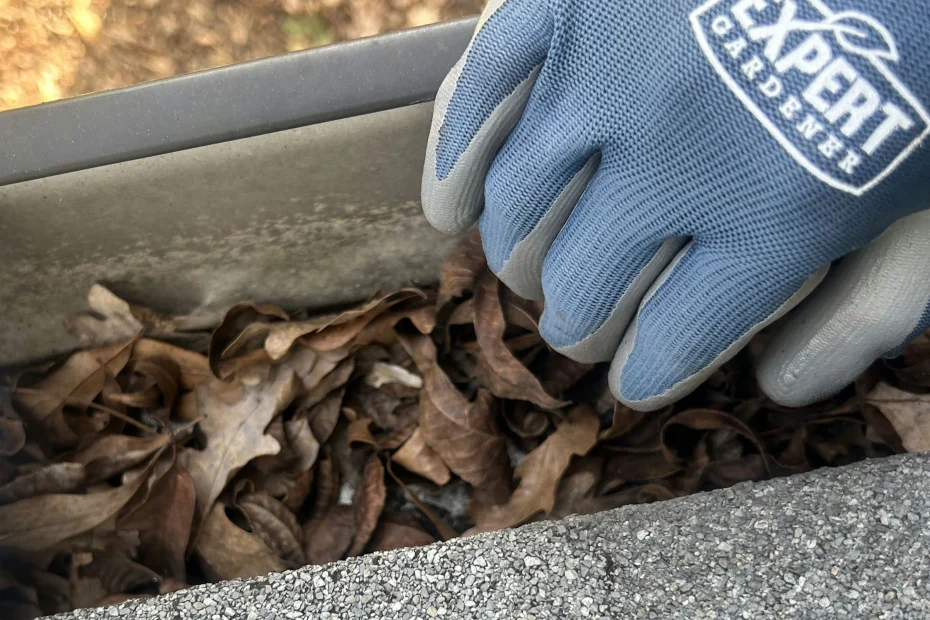 Gutter Cleaning Franklin