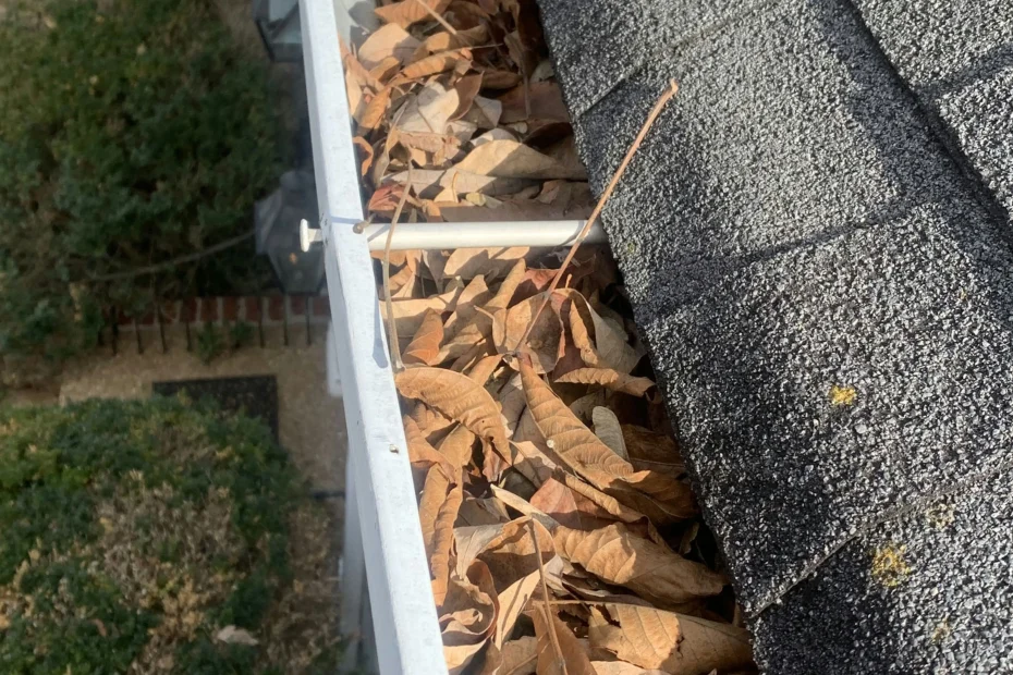 Gutter Cleaning Franklin