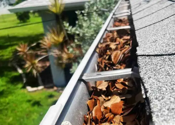 Gutter Cleaning Franklin home page